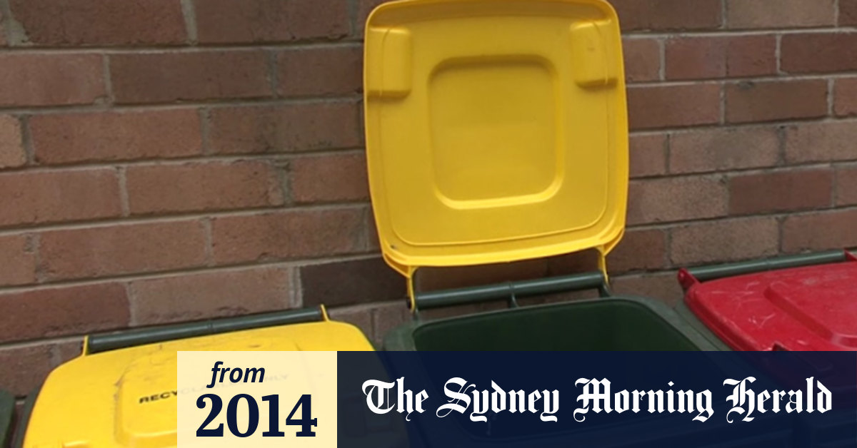 Video Why councils look through your bins